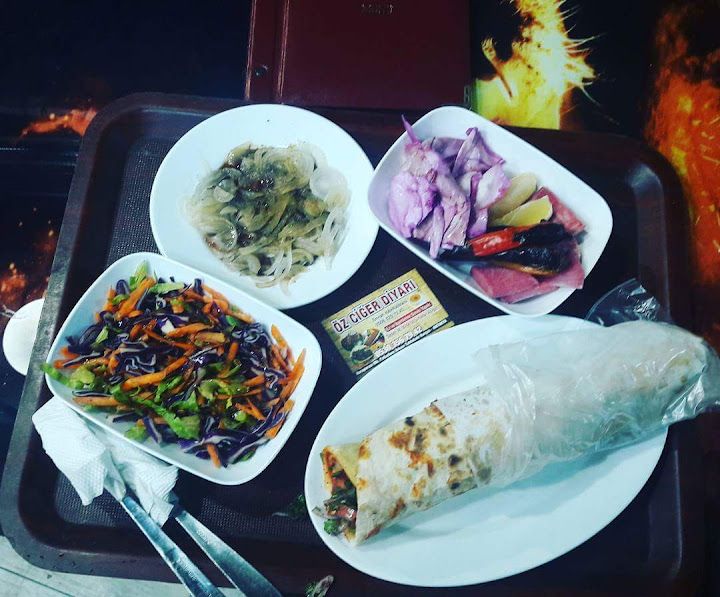 Öz Ciger Diyari