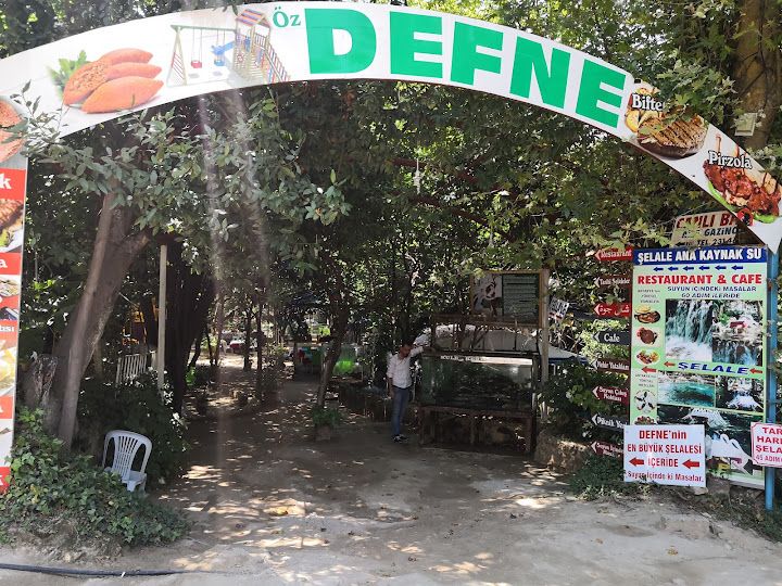 Öz Defne