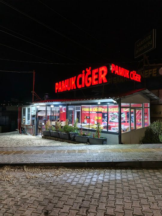 Pamuk ciğer