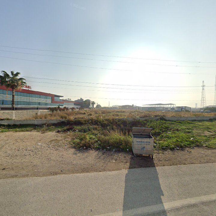 Fotoğraf 4