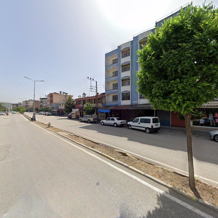 Fotoğraf 4