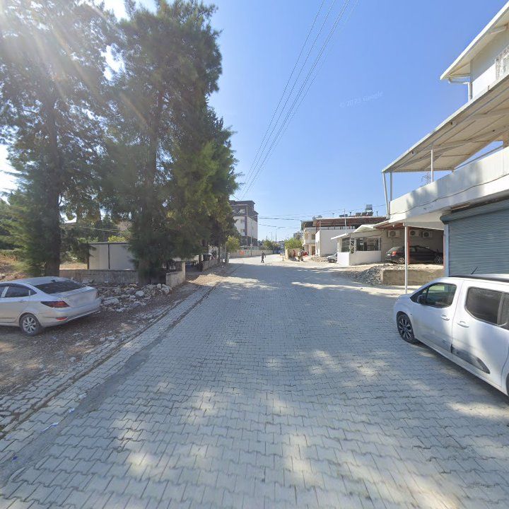 Fotoğraf 5