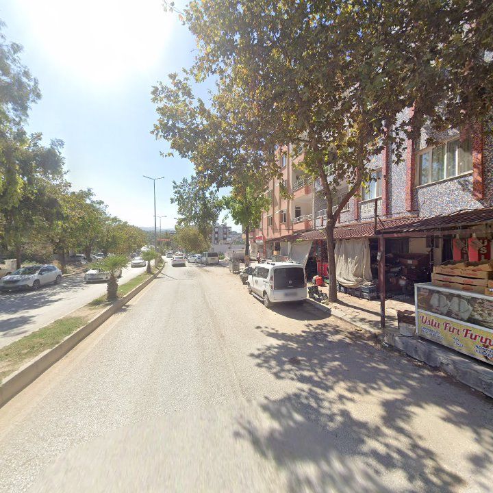 Fotoğraf 3