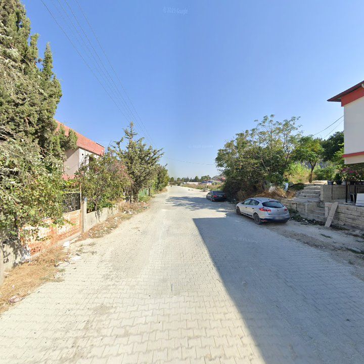 Fotoğraf 4