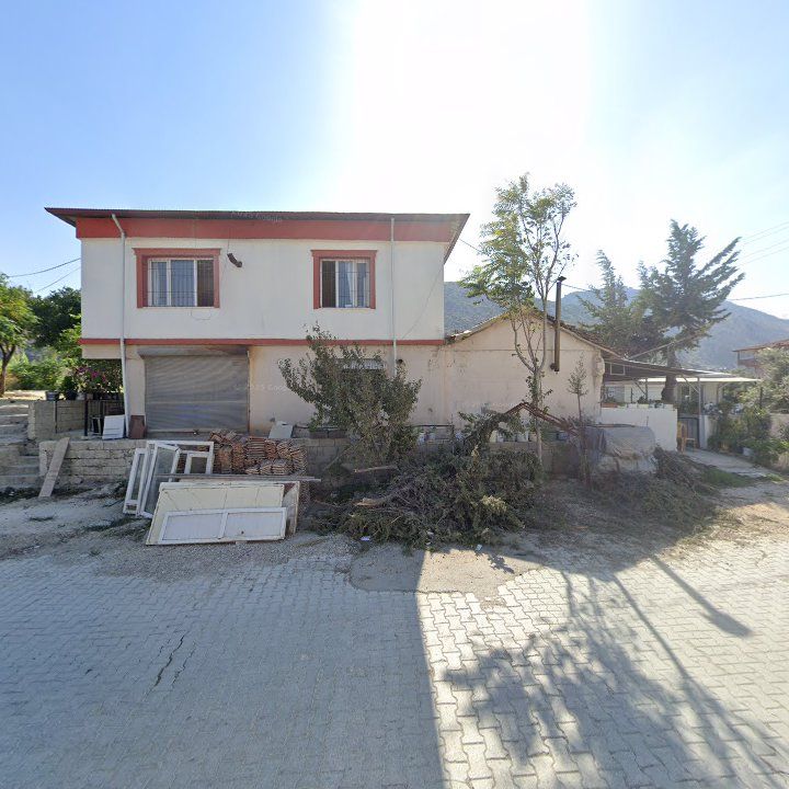 Fotoğraf 5