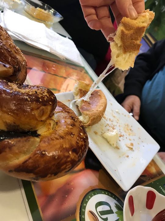 Fotoğraf 23