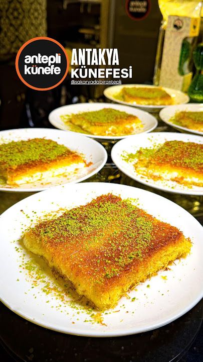 Fotoğraf 30