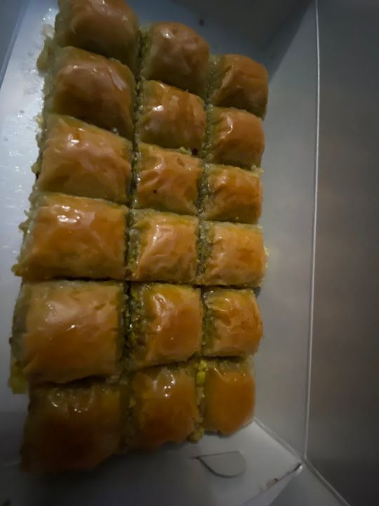 Fotoğraf 13