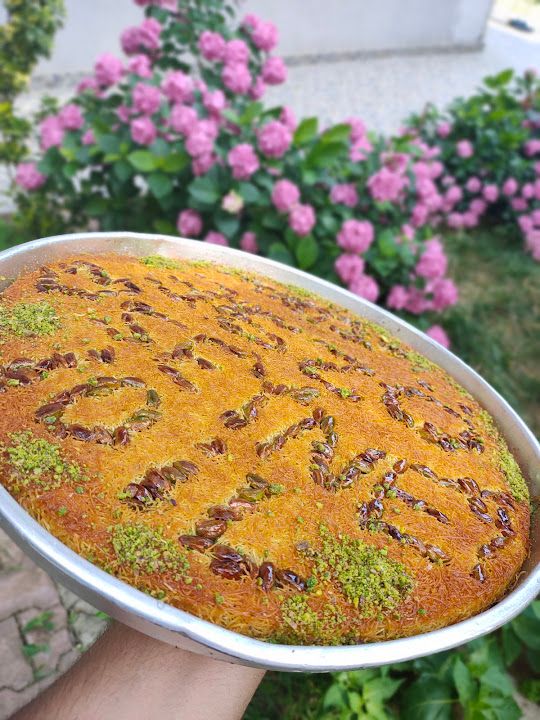 Fotoğraf 17
