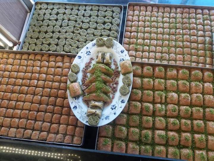 Fotoğraf 10