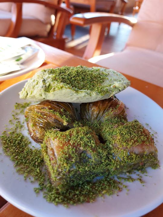 Fotoğraf 12