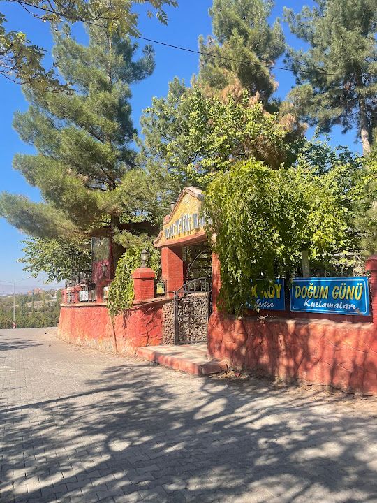 Fotoğraf 19