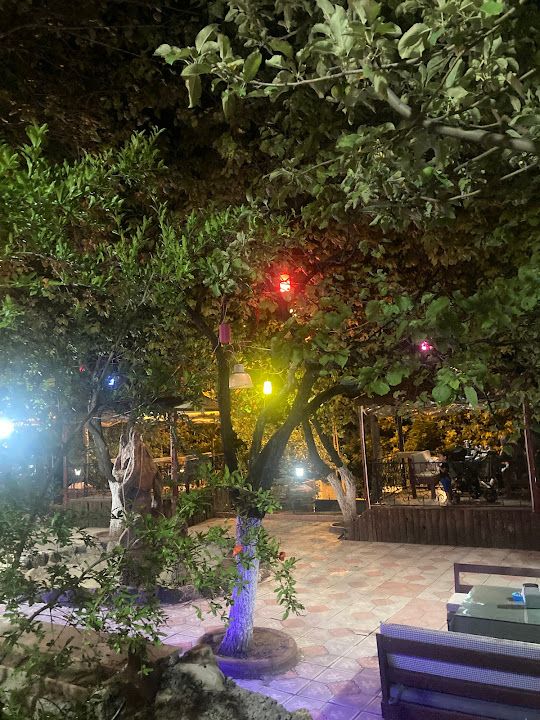 Fotoğraf 14