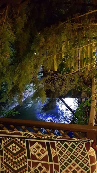 Fotoğraf 21