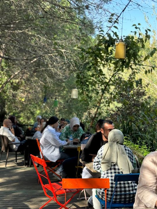 Fotoğraf 79