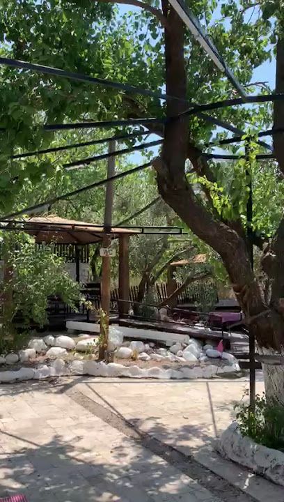 Fotoğraf 22