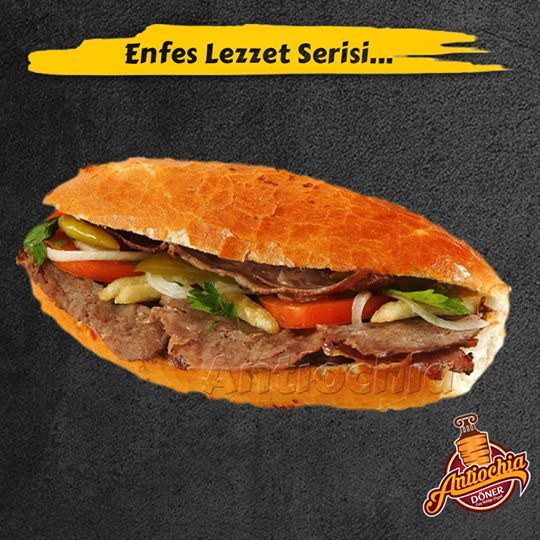 Fotoğraf 13