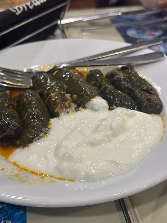 Fotoğraf 53