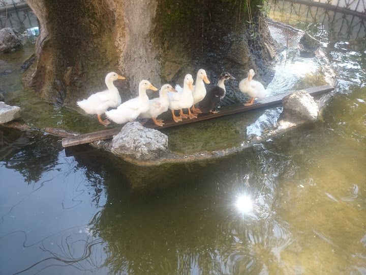 Yorum fotoğrafı 3