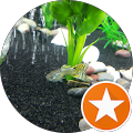 Aquasurgeon MD