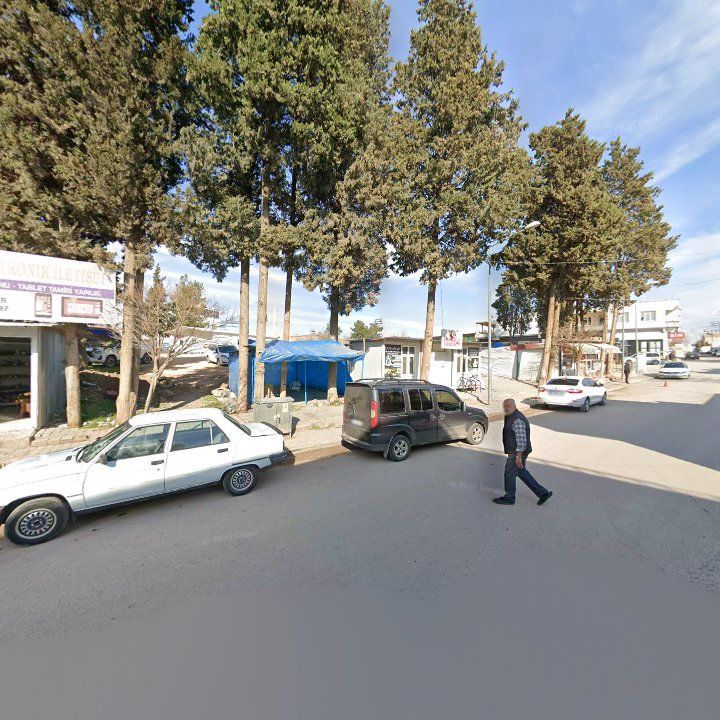 Fotoğraf 8