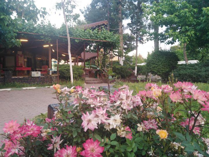 Cafe Park