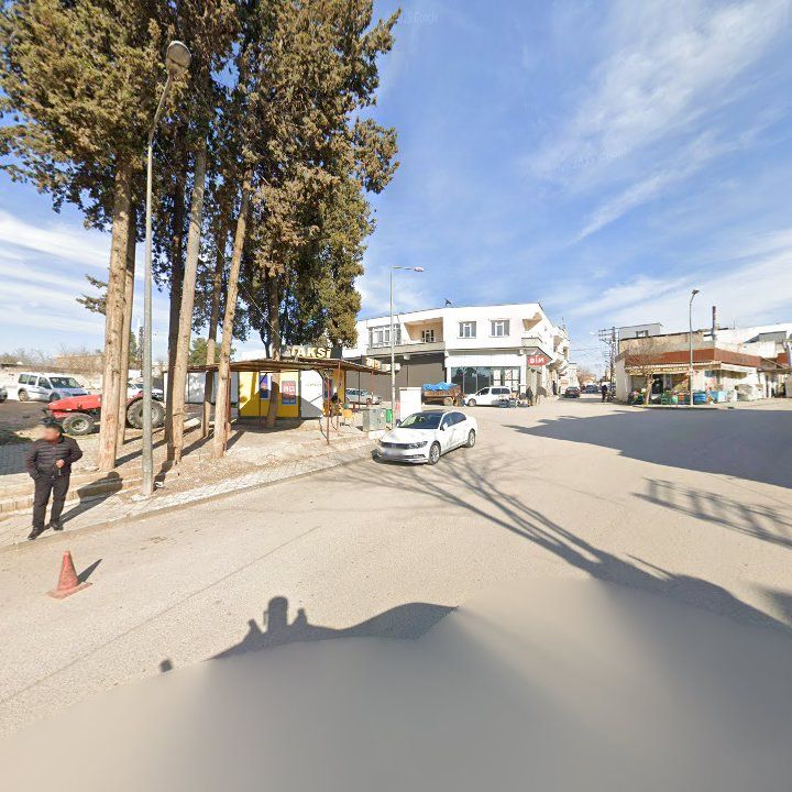 Fotoğraf 5