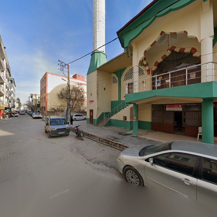 Fotoğraf 5