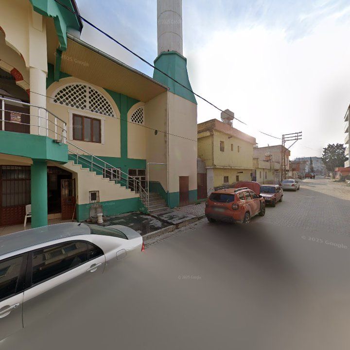 Fotoğraf 6