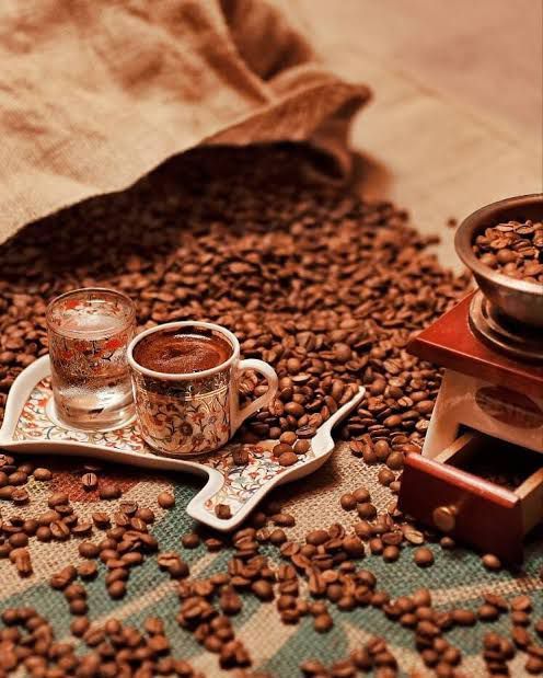 Fotoğraf 16