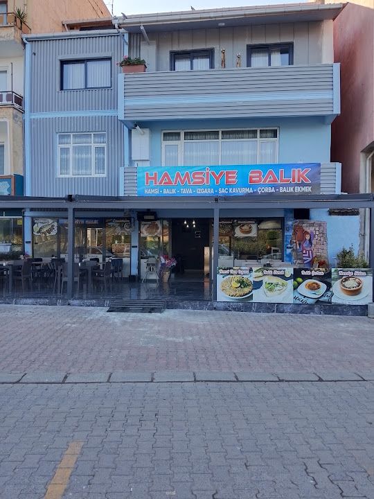 Hamsiye Balık