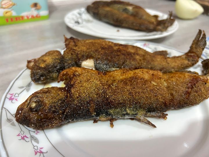 Taşgeçit Alabalık Tesisleri