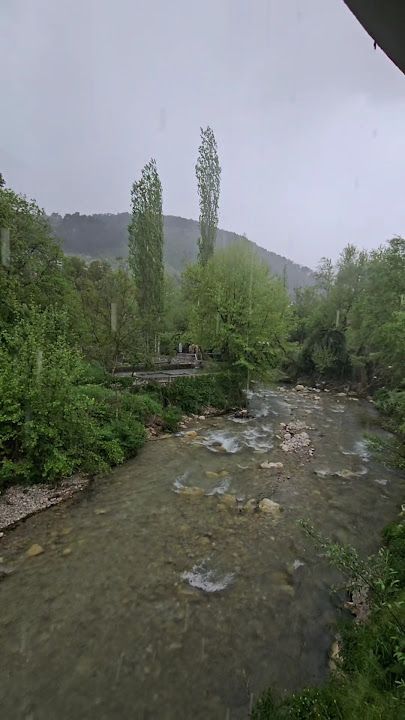 Fotoğraf 18