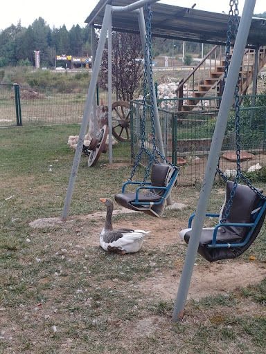 Fotoğraf 24