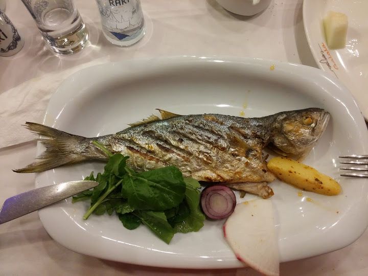 Fotoğraf 19