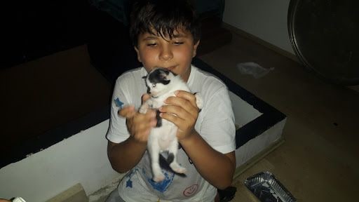 Fotoğraf 24