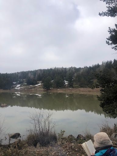 Yorum fotoğrafı 5