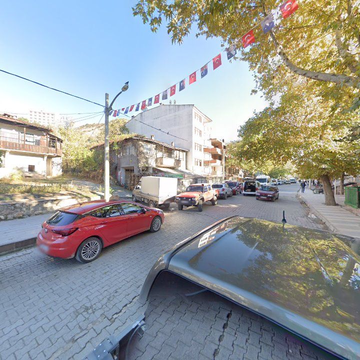 Fotoğraf 10
