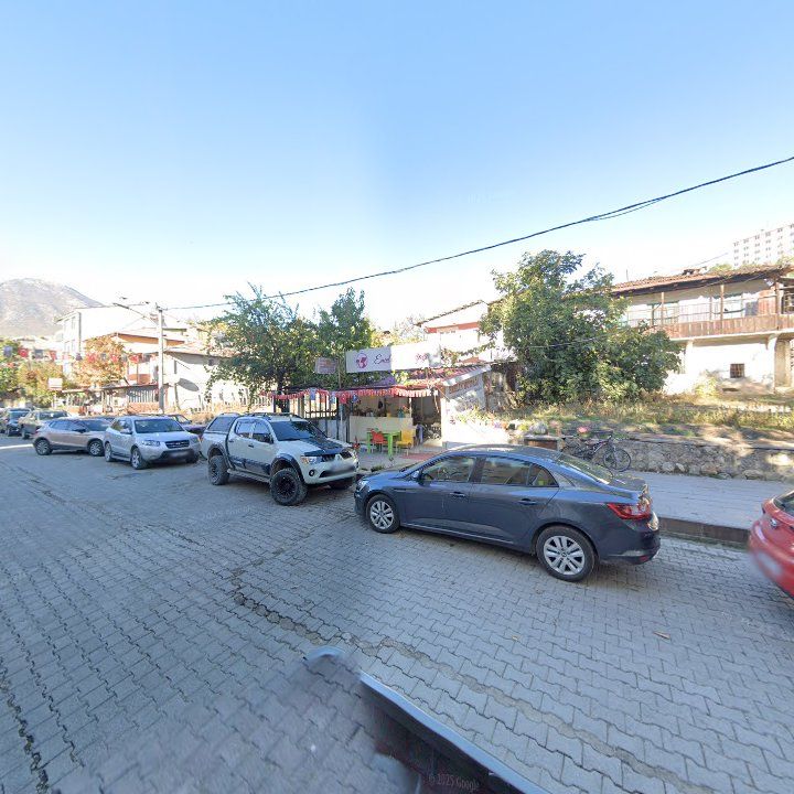 Fotoğraf 9