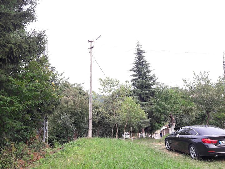 Çaykur Çay Alı Yeri