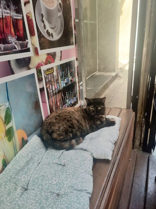 Yorum fotoğrafı 2