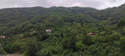 Fotoğraf 13
