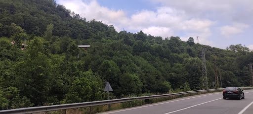 Fotoğraf 15