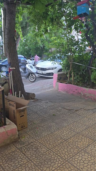 Fotoğraf 13