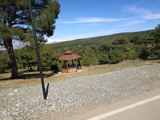 Yorum fotoğrafı 3