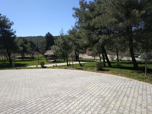 Yorum fotoğrafı 6
