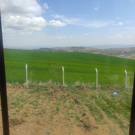 Yorum fotoğrafı 5