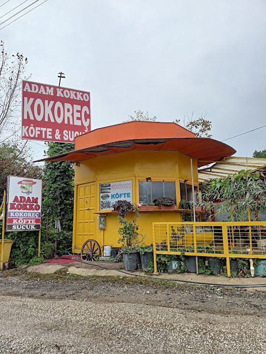 Adam Kokko