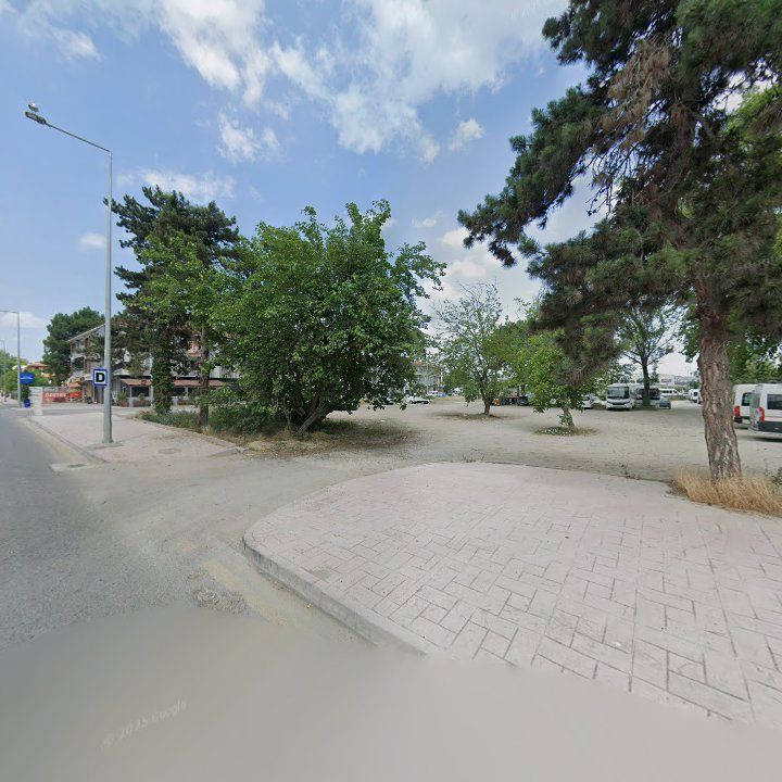 Fotoğraf 10