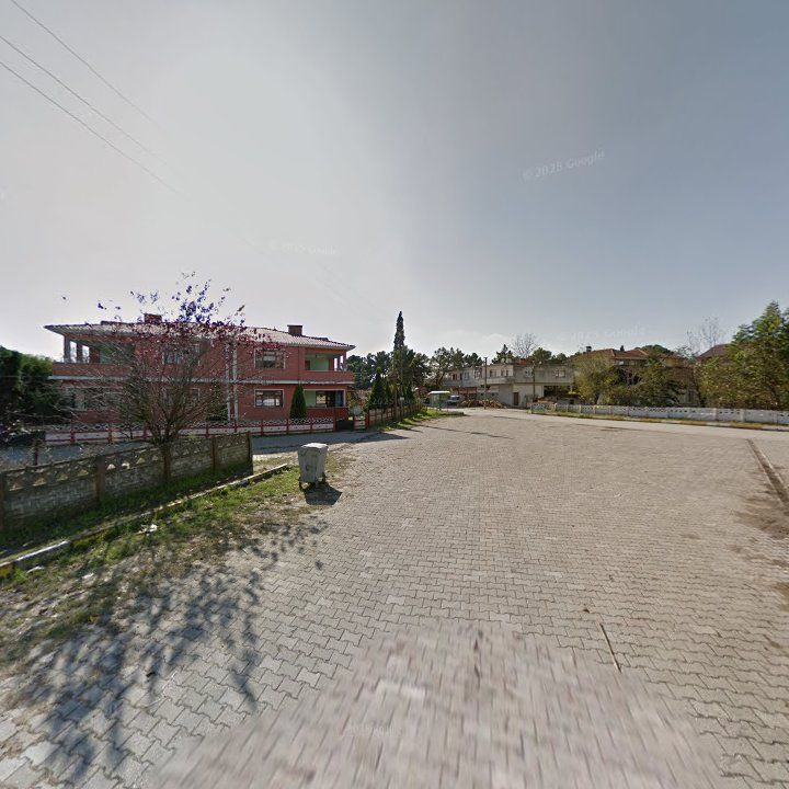 Fotoğraf 8